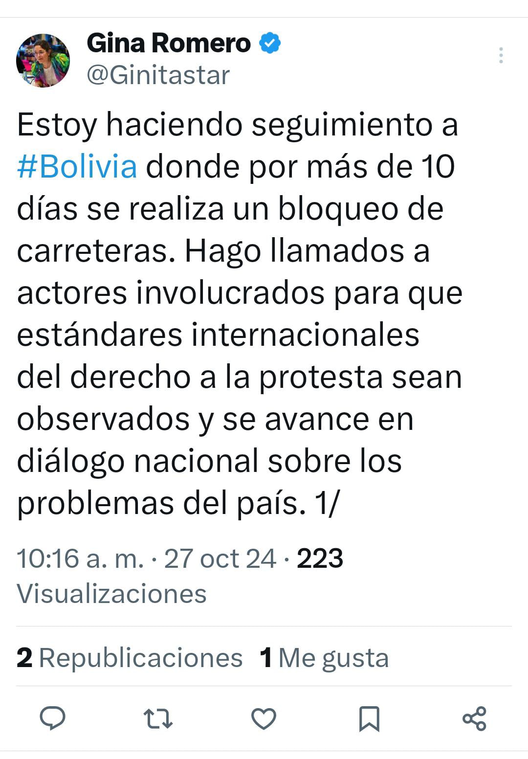 Relatora de la ONU para la Libertad de Asociación hace seguimiento a situación en Bolivia y pide establecer corredores humanitarios