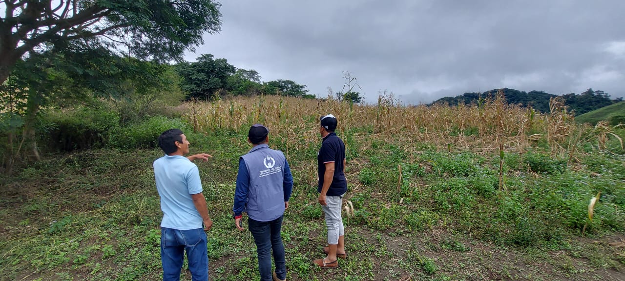 Defensoría del Pueblo investiga presunta vulneración de derechos en la adjudicación de viviendas sociales en Chiquiacá - Tarija
